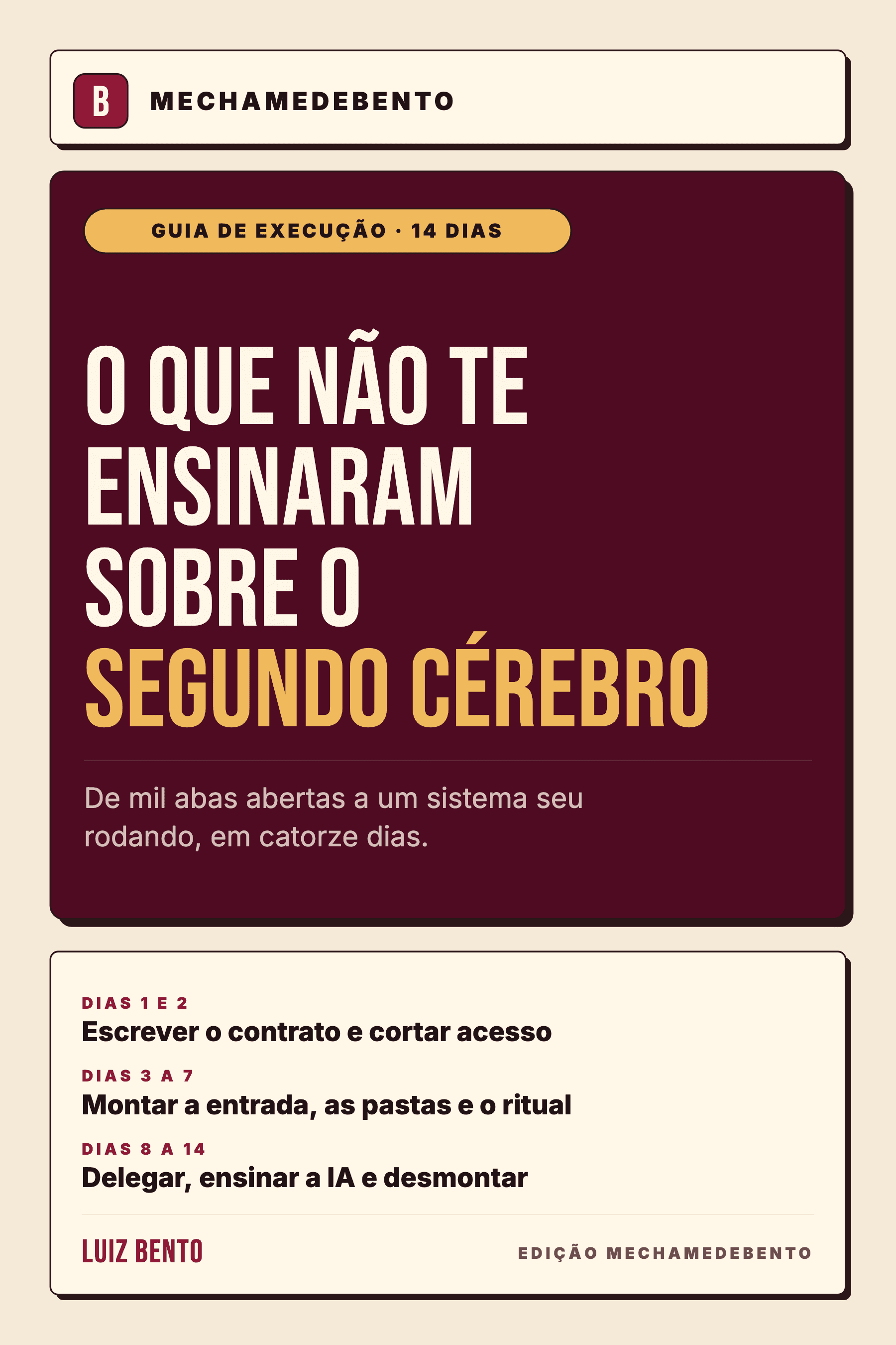 Capa de O Que Não Te Ensinaram Sobre o Segundo Cérebro